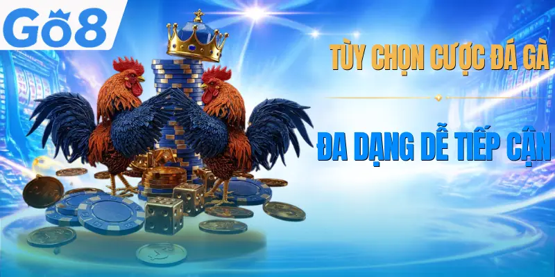 da-ga-go8-hinh-thuc-cuoc